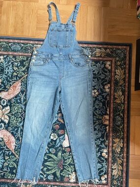 Universal Thread skinny jean overalls
